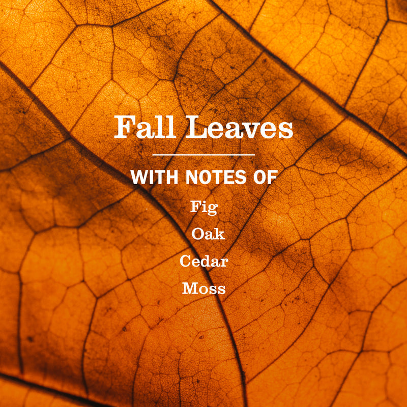 Mrs. Meyer's Fall Leaves Liquid Hand Soap