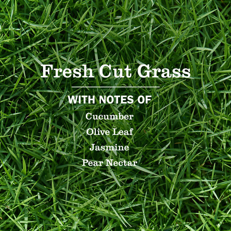Fresh Cut Grass Plug In Scented Oil Refill 2-Pack
