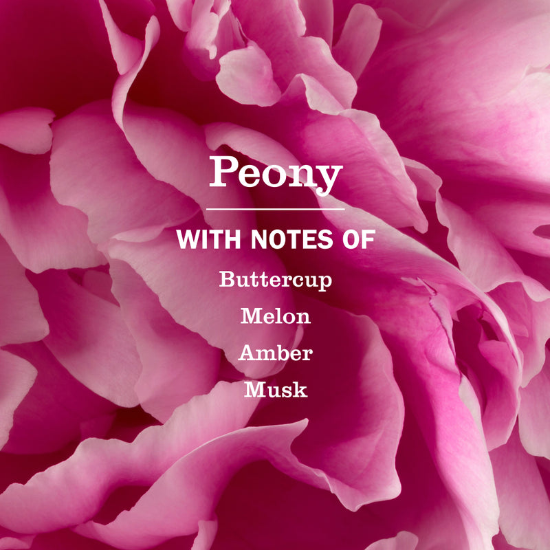Mrs. Meyer's Peony Multi-Surface Concentrate