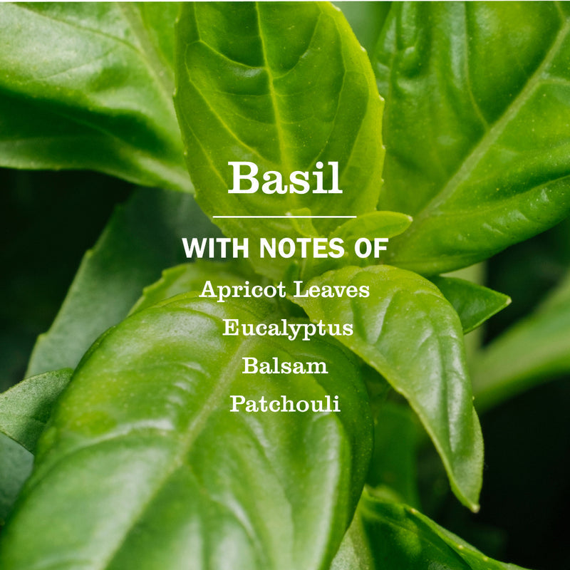 Mrs. Meyer's Basil Laundry Detergent