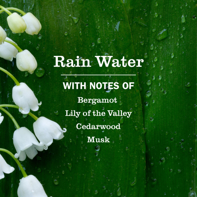 Mrs. Meyer's Rain Water Ultra Concentrated Laundry Detergent