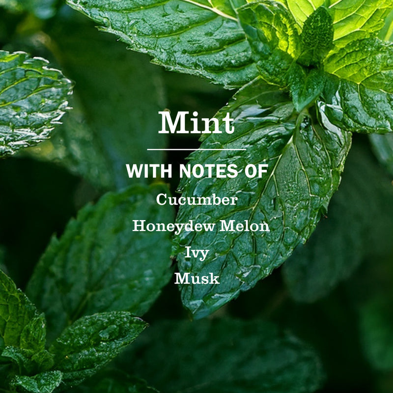 Mint Dish Soap | Mrs. Meyer's