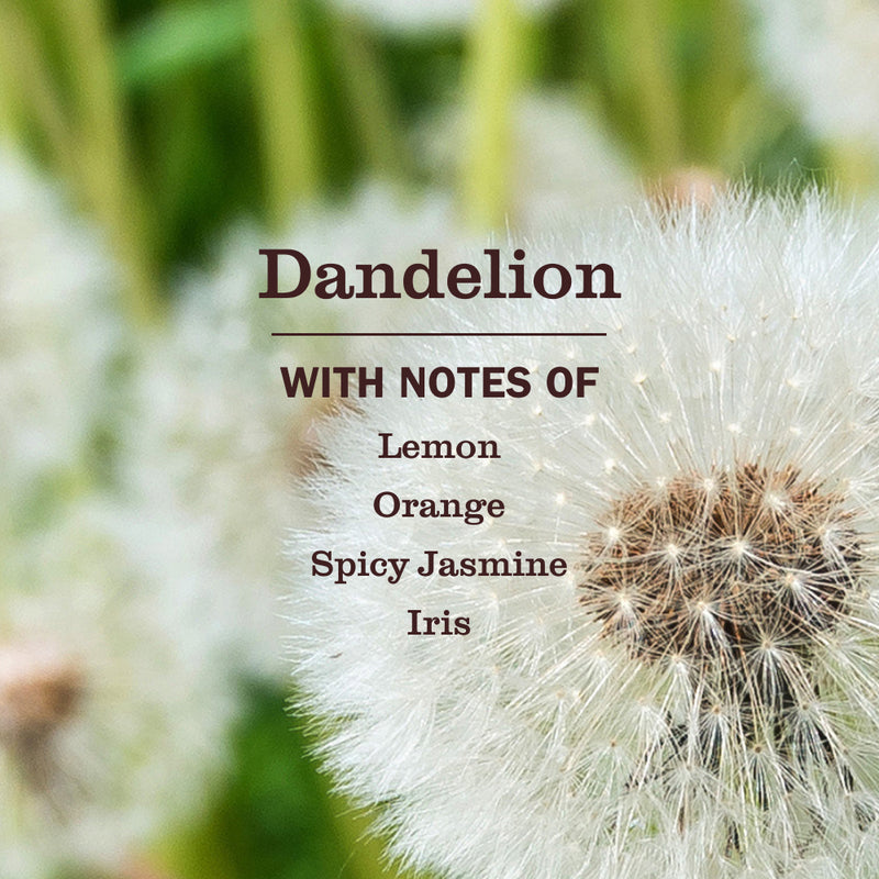 Mrs. Meyer's Dandelion Kitchen Basics Set