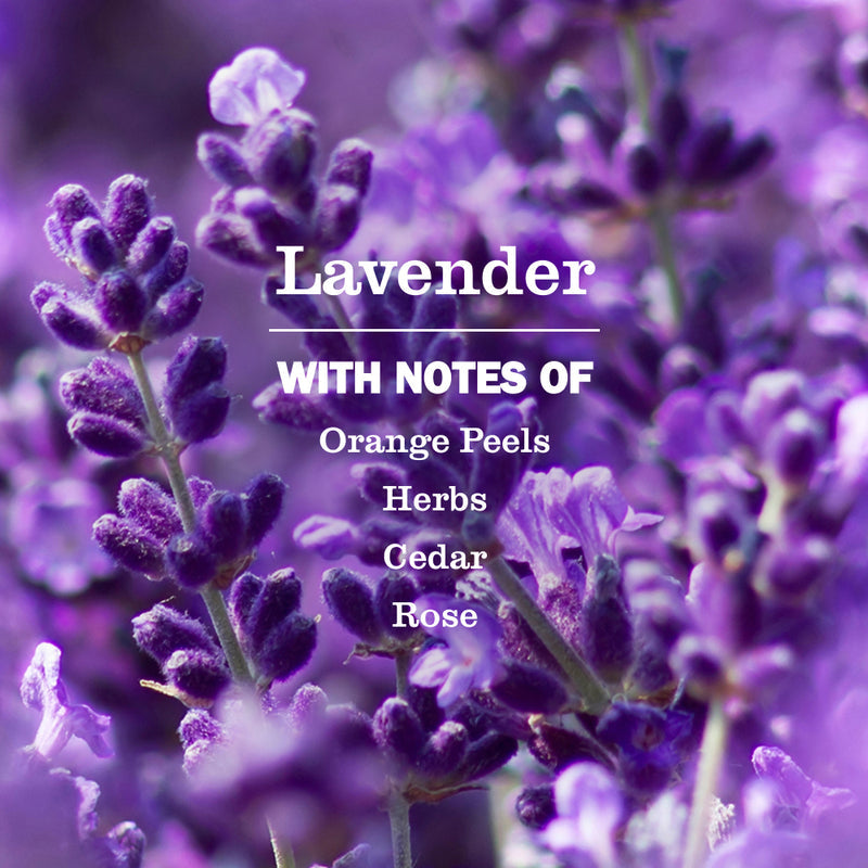 Lavender Scent Booster